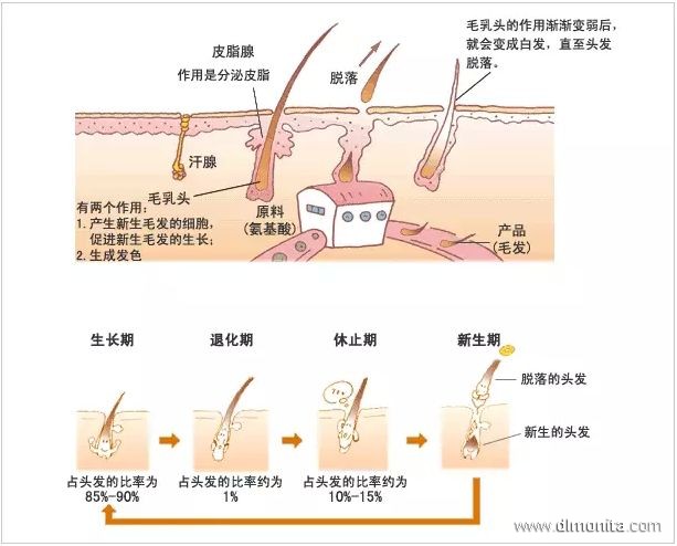 美發(fā)培訓(xùn)