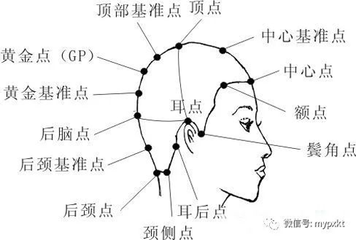 初學(xué)者剪發(fā)基本手法