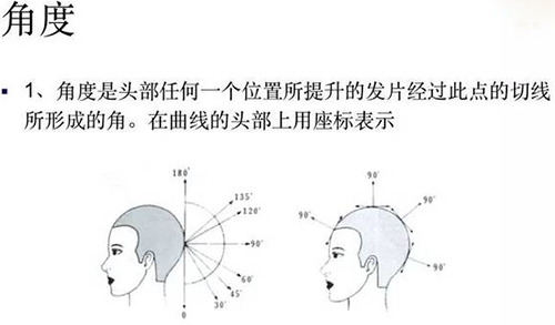 剪發(fā)基礎(chǔ)零基礎(chǔ)入門(mén)